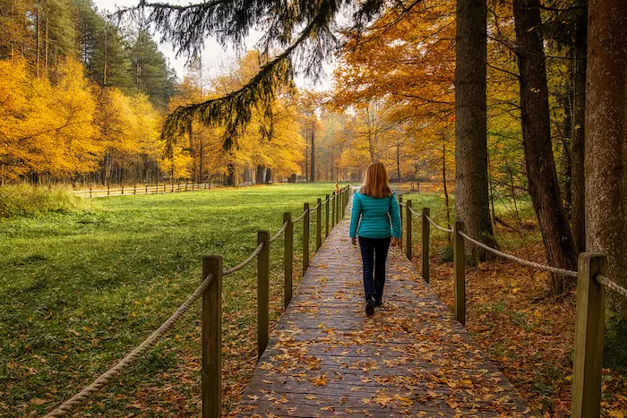 Krajobraz podróży — podmień zdjęcie